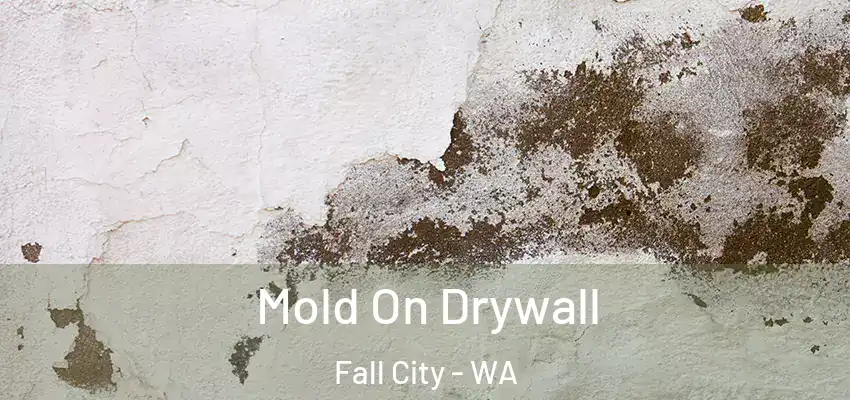  Mold On Drywall Fall City - WA