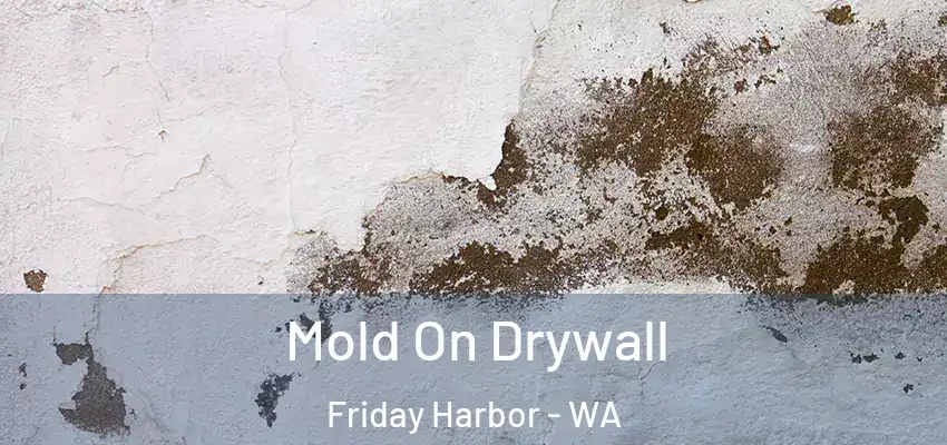 Mold On Drywall Friday Harbor - WA
