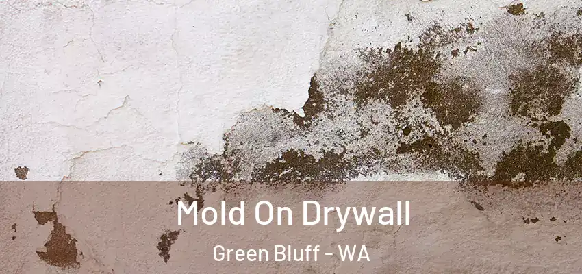  Mold On Drywall Green Bluff - WA