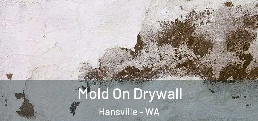  Mold On Drywall Hansville - WA