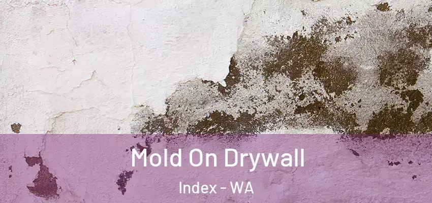  Mold On Drywall Index - WA