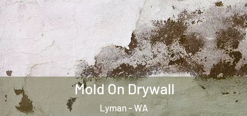  Mold On Drywall Lyman - WA