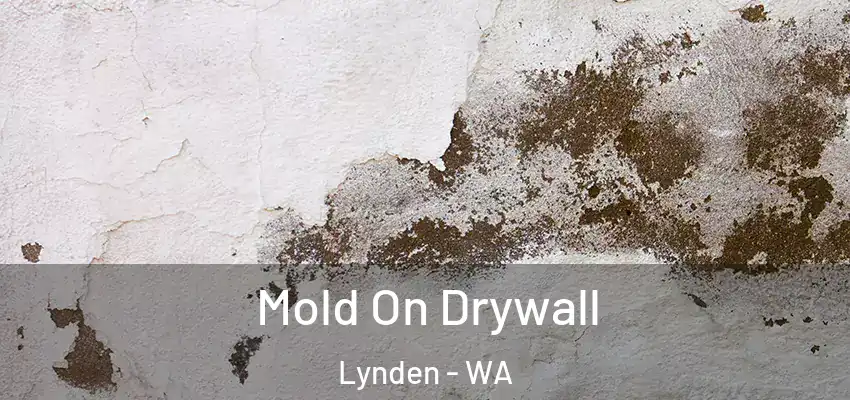 Mold On Drywall Lynden - WA