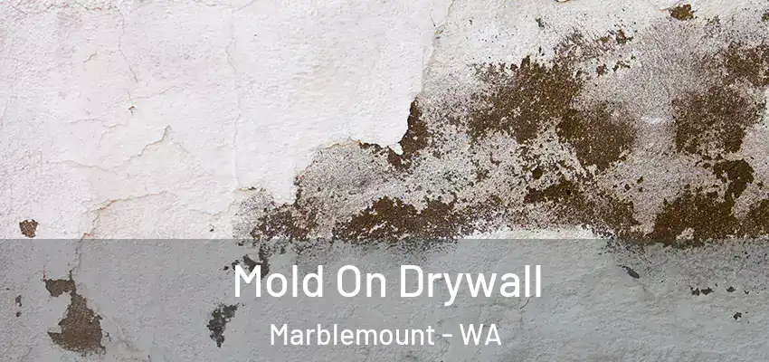 Mold On Drywall Marblemount - WA