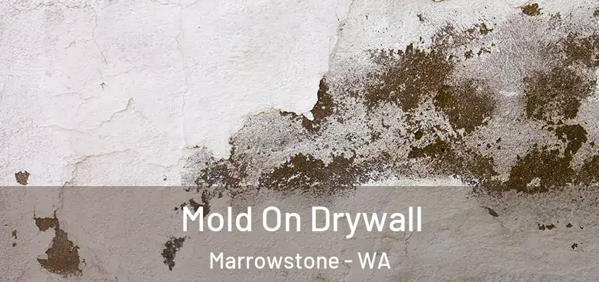  Mold On Drywall Marrowstone - WA