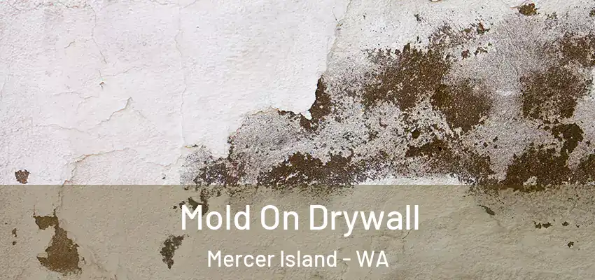  Mold On Drywall Mercer Island - WA