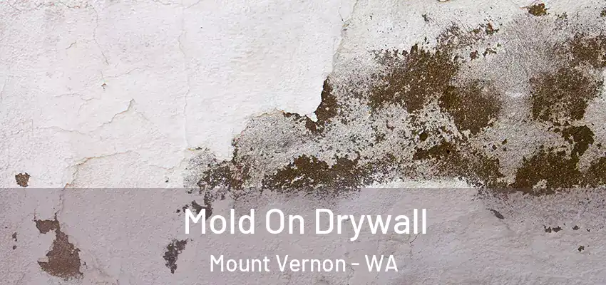  Mold On Drywall Mount Vernon - WA
