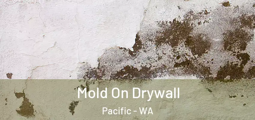  Mold On Drywall Pacific - WA