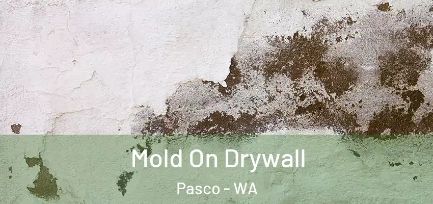  Mold On Drywall Pasco - WA
