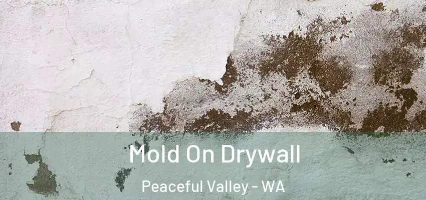  Mold On Drywall Peaceful Valley - WA