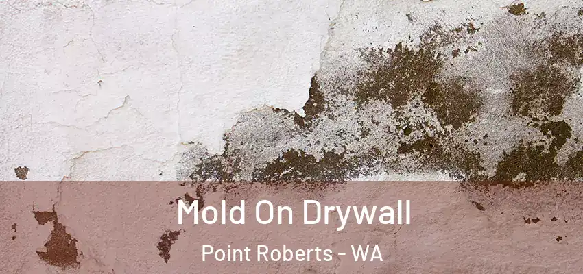  Mold On Drywall Point Roberts - WA