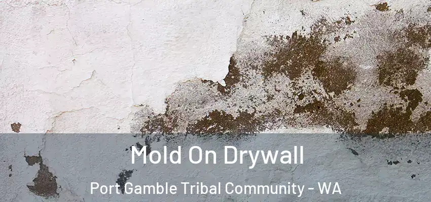 Mold On Drywall Port Gamble Tribal Community - WA