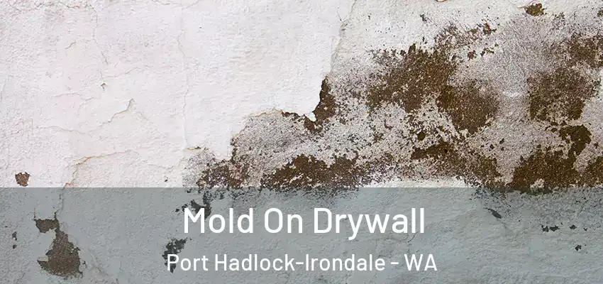  Mold On Drywall Port Hadlock-Irondale - WA