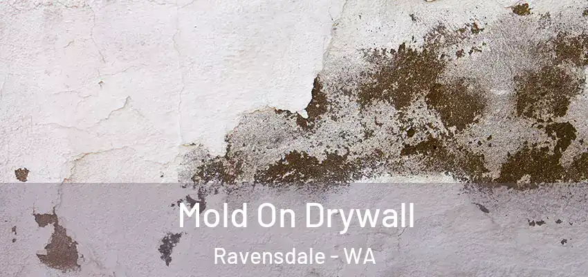  Mold On Drywall Ravensdale - WA