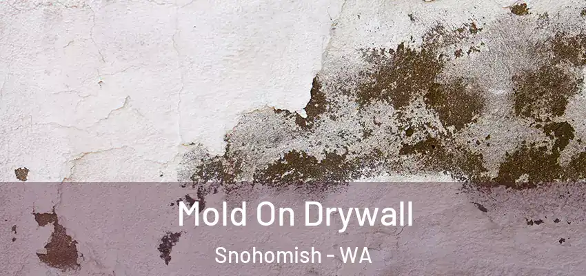  Mold On Drywall Snohomish - WA