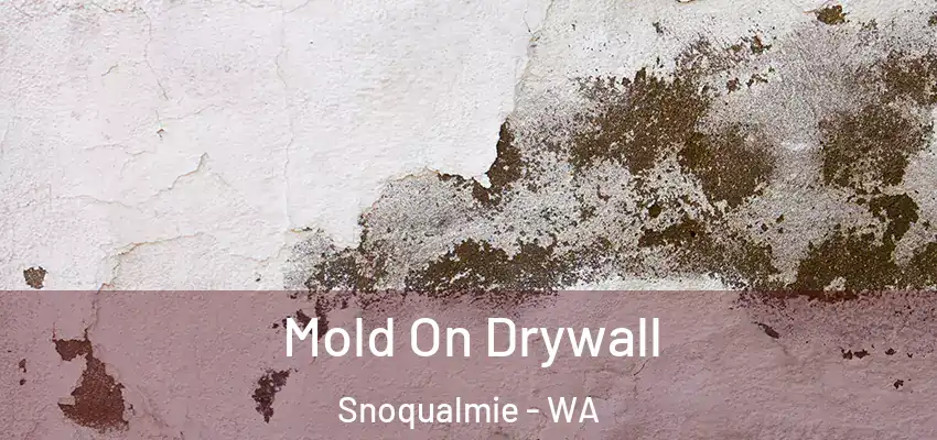  Mold On Drywall Snoqualmie - WA