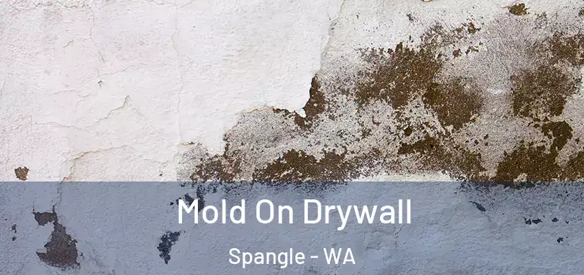  Mold On Drywall Spangle - WA