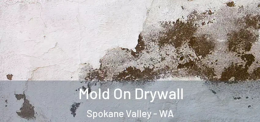  Mold On Drywall Spokane Valley - WA