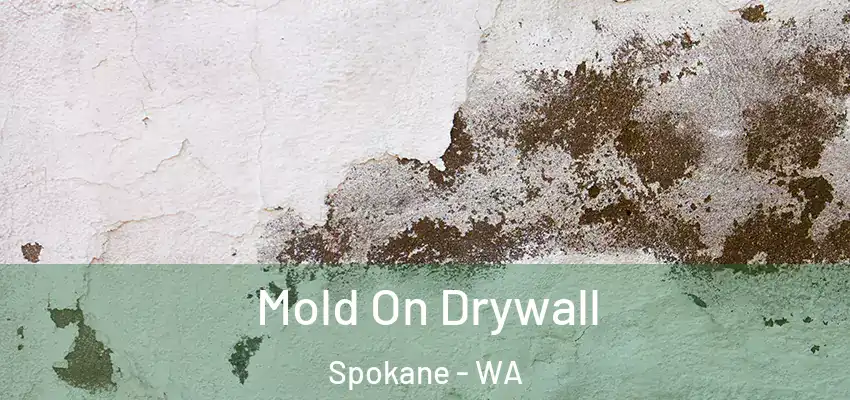  Mold On Drywall Spokane - WA
