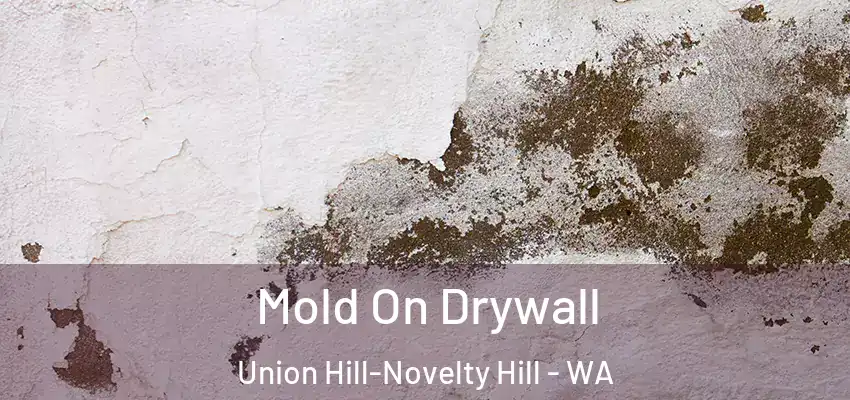 Mold On Drywall Union Hill-Novelty Hill - WA