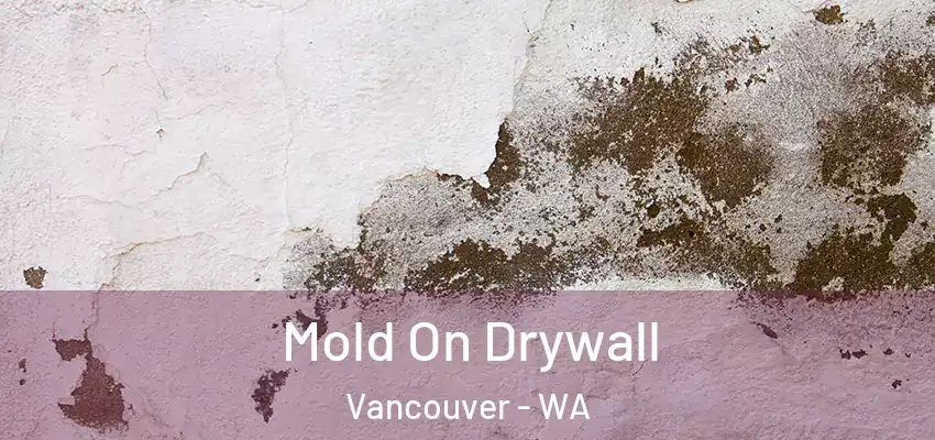  Mold On Drywall Vancouver - WA