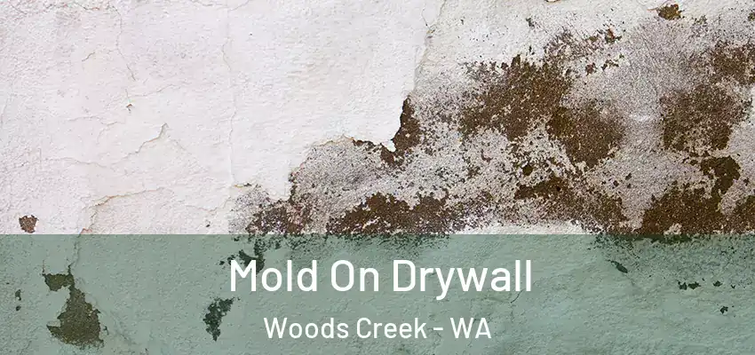  Mold On Drywall Woods Creek - WA