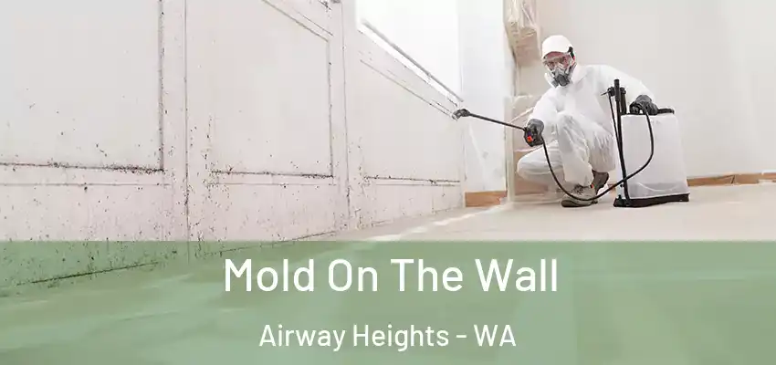  Mold On The Wall Airway Heights - WA