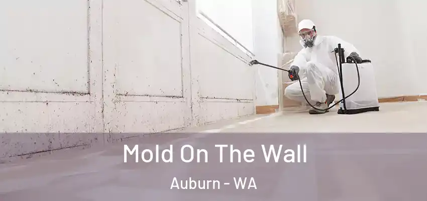  Mold On The Wall Auburn - WA