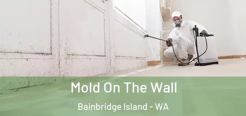  Mold On The Wall Bainbridge Island - WA