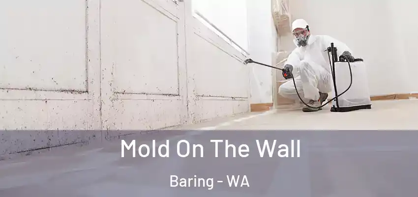  Mold On The Wall Baring - WA