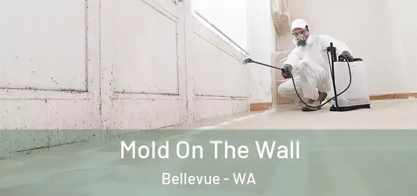 Mold On The Wall Bellevue - WA