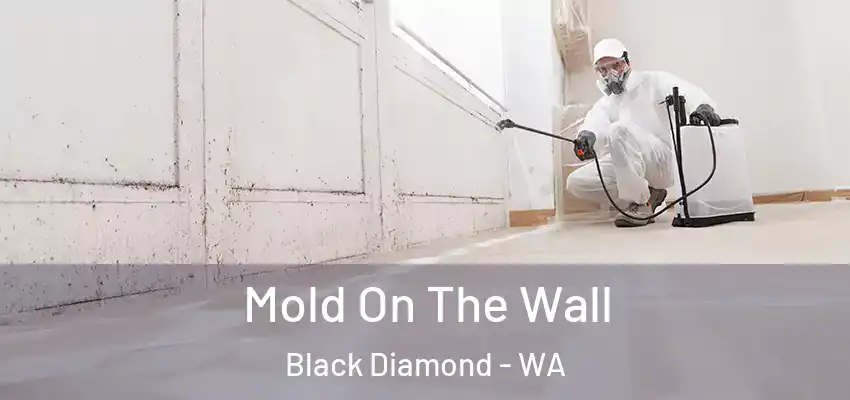  Mold On The Wall Black Diamond - WA
