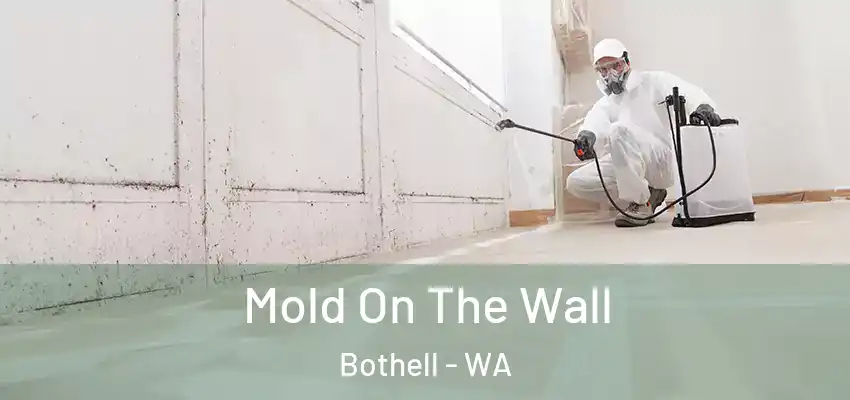  Mold On The Wall Bothell - WA