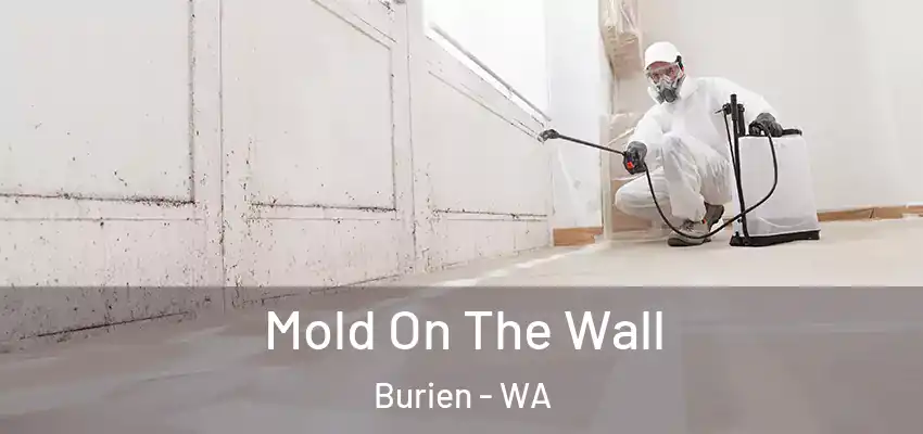  Mold On The Wall Burien - WA