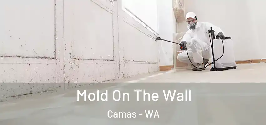 Mold On The Wall Camas - WA