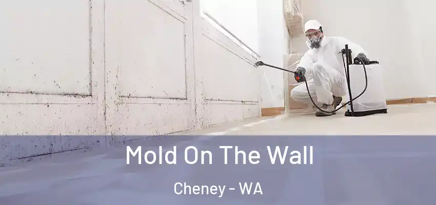  Mold On The Wall Cheney - WA