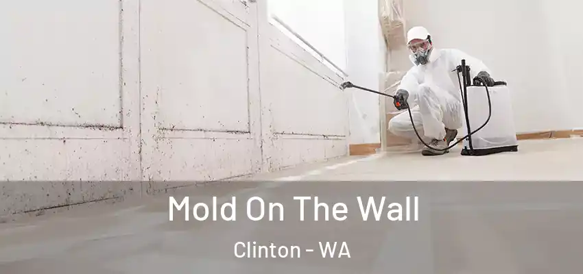  Mold On The Wall Clinton - WA
