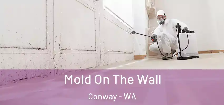  Mold On The Wall Conway - WA