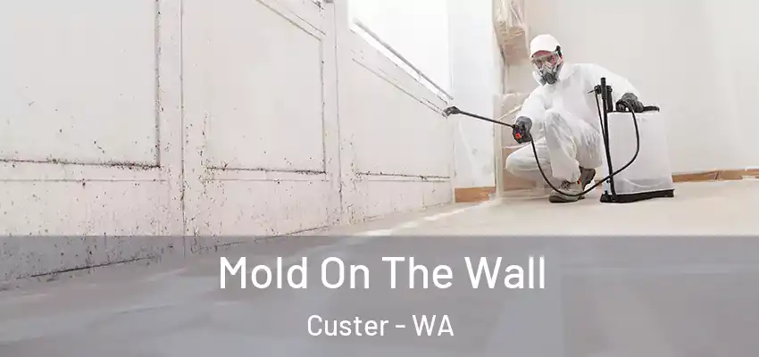  Mold On The Wall Custer - WA