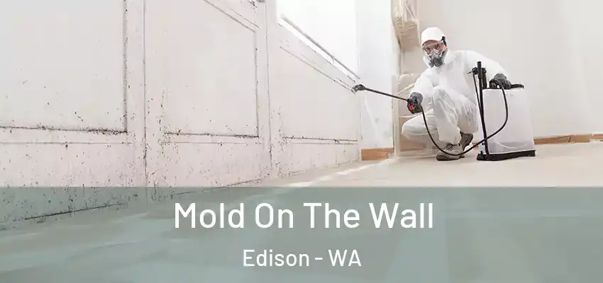  Mold On The Wall Edison - WA