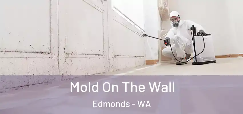 Mold On The Wall Edmonds - WA