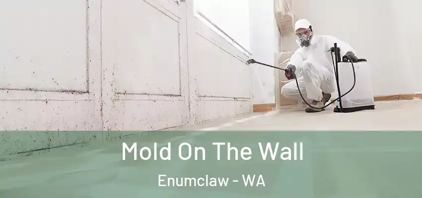  Mold On The Wall Enumclaw - WA
