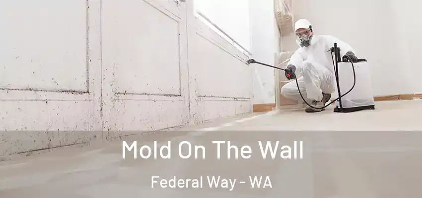  Mold On The Wall Federal Way - WA
