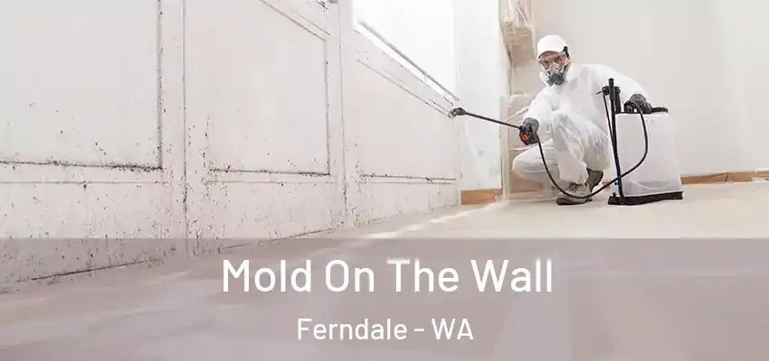  Mold On The Wall Ferndale - WA