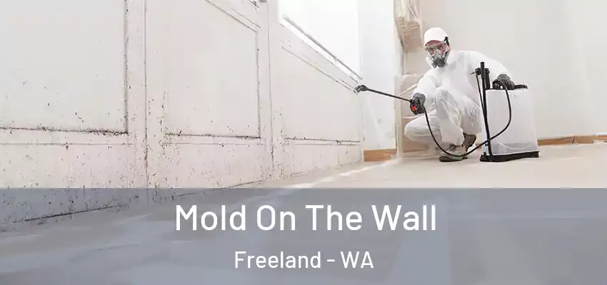  Mold On The Wall Freeland - WA