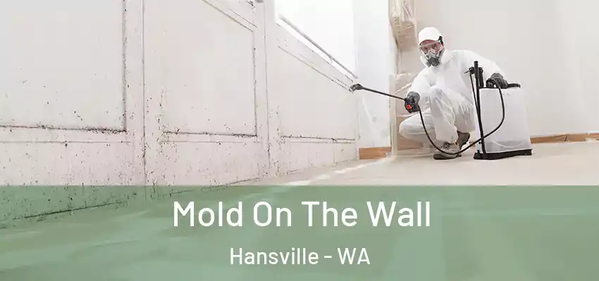  Mold On The Wall Hansville - WA