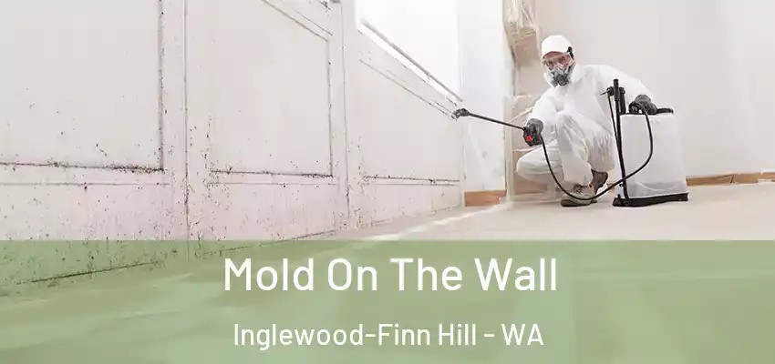  Mold On The Wall Inglewood-Finn Hill - WA