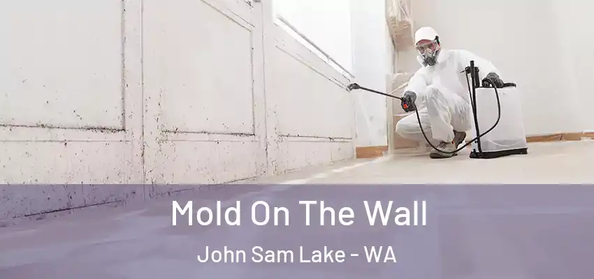  Mold On The Wall John Sam Lake - WA