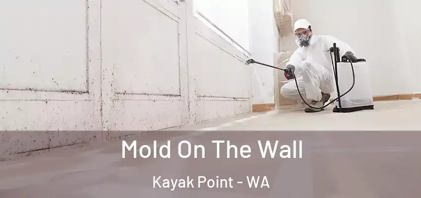  Mold On The Wall Kayak Point - WA