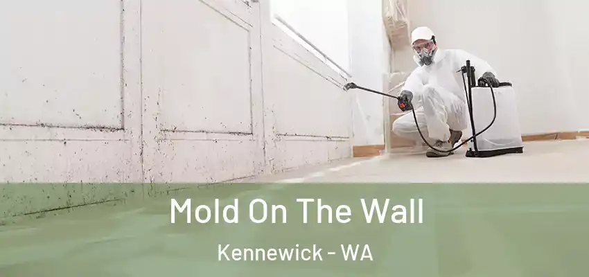  Mold On The Wall Kennewick - WA